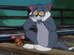 Tom et Jerry (1940-1958) - image 26